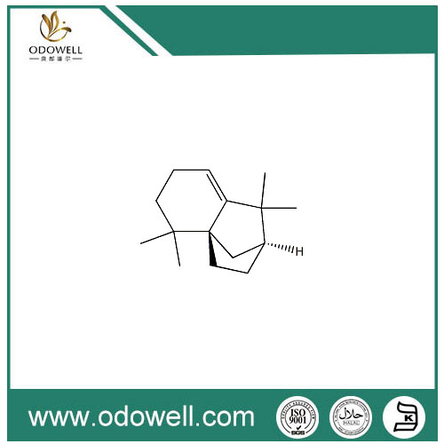 Isolongifoleen