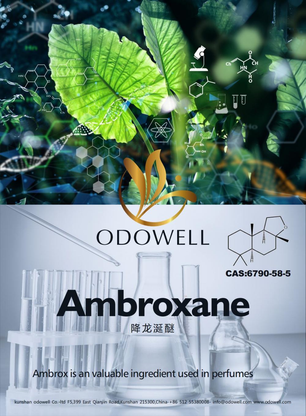 Odowell tähistab Ambroxane'i edukat aastat (Ambrox)
