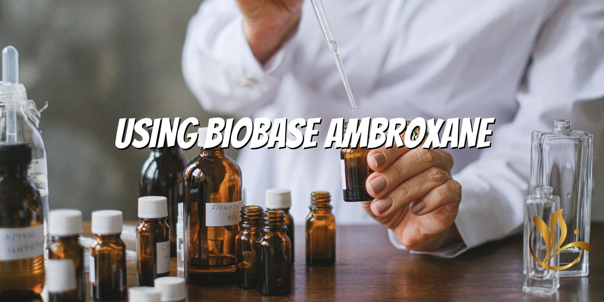 Ambroxi valdamine - parfüümi juhend ajatu loomingu kohta