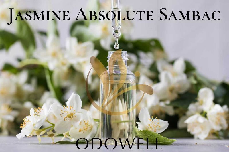 ​ODOWELL toob turule Jasmine Absolute Sambaci – esmaklassilise naturaalse jasmiiniabsoluuti parfüümi ja ilu jaoks