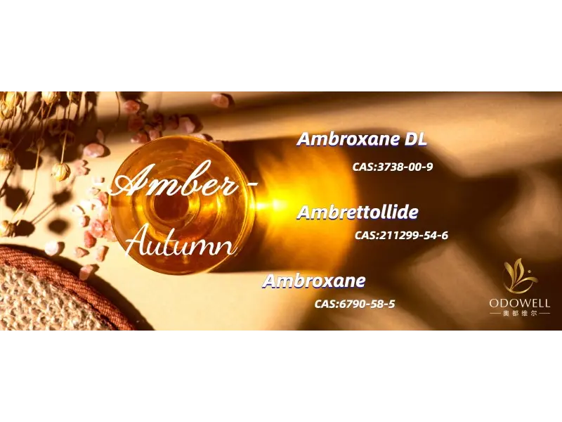 Millised on 2025. aasta parimad sooneutraalsed lõhnad