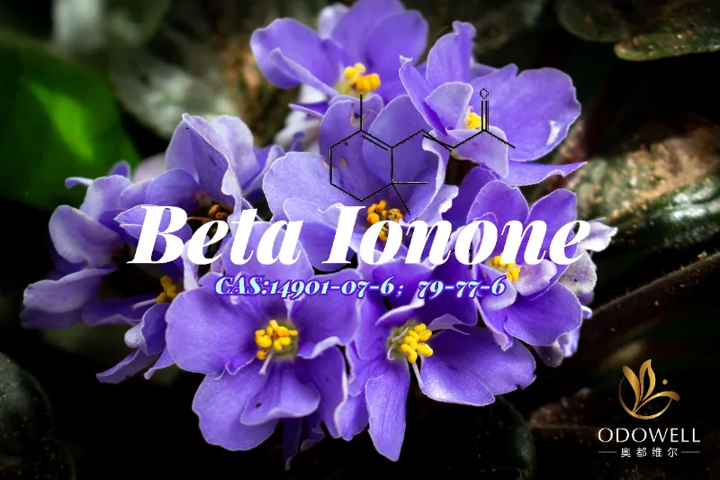 Beeta-ioon – ODOWELL'i klassikaline violetse-puidune ketoon peene aroomi sügavuse saavutamiseks