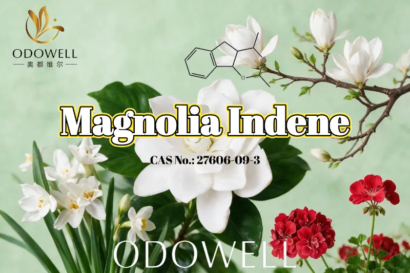 ODOWELL soovitab Magnolia Indeeni värskete lille-roheliste ja tsitruseliste lõhnade jaoks